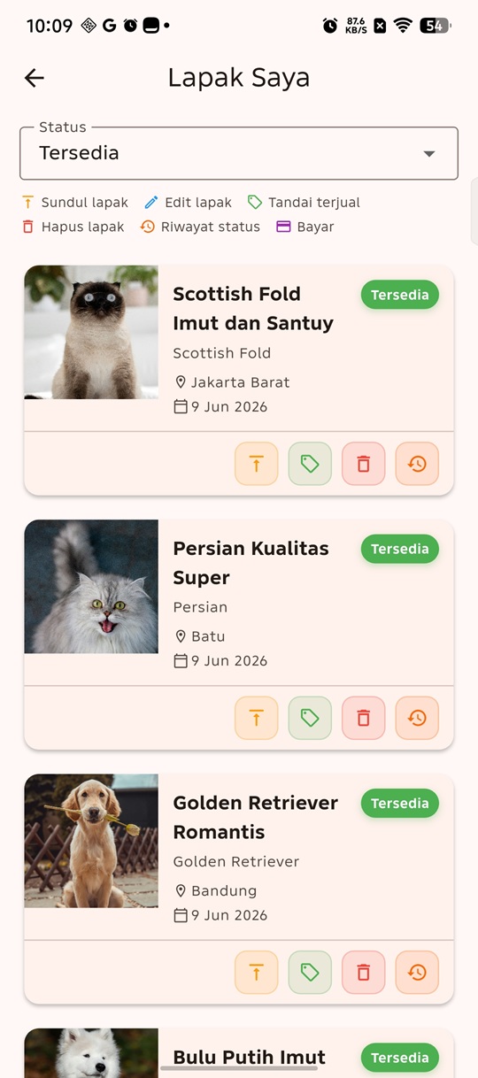 Lapak saya di Lapak Anabul